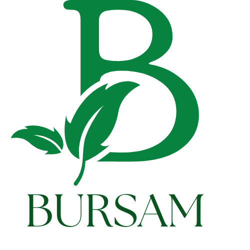 Bursam.Net | Bursa Tarihin ve Doğanın Kalbinde Bir Şehir